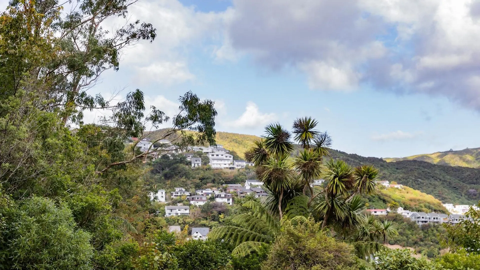 Back Garden Flat With Free On Street Parking And Fiber Wifi - 15 Mins To Ferry, Stadium, Cbd Wellington 0*,